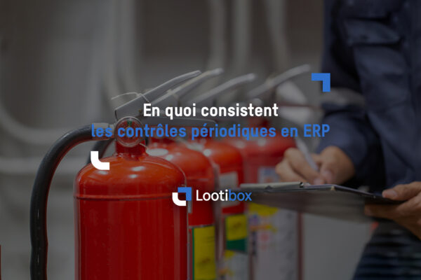 article-controles-periodiques-ERP