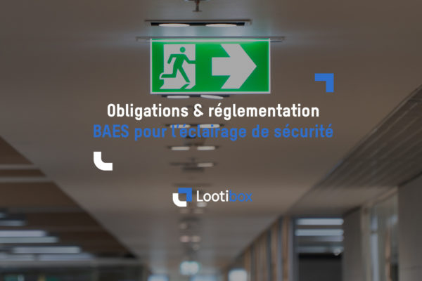 article-obligations-réglementation-BAES